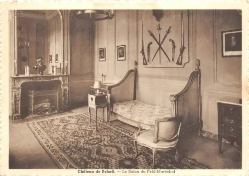 BR41054 chateau de Beloeil le salon du feld marechal Belgien