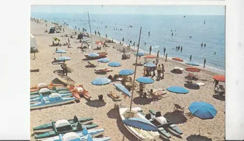 BF18707 plage de zerlada algeria front/back image