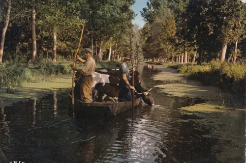 BF31790 marais poitevin venise verte cathedrale de verdu france front/back image