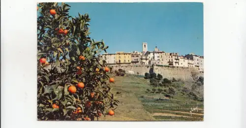 BF31450 saint paul de vende vue generale france front/back image