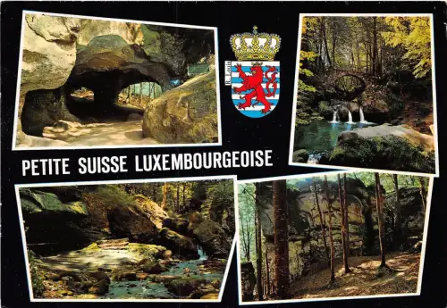 BF29880 multi views luxembourg front/back image