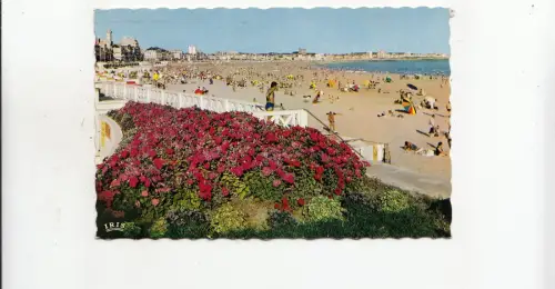 BF31774 les sables d olonne vue generale de la plage france front/back image