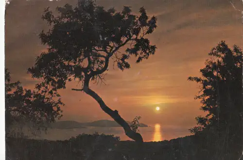 BF25385 bord de mer coucher de soleil sur la cote france front/back image