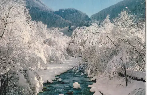 BF25155 neige et soleil le torent en hiver france front/back image