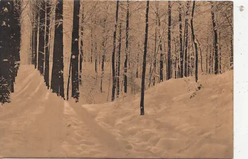 BF16216 dteve des enfants noyes belgium front/back image