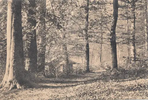 BF16222 vallon des enfants noyels belgium front/back image