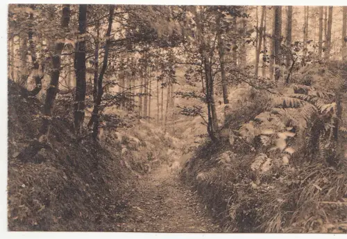 BF16213 sentier des fourgeres belgien front/back image