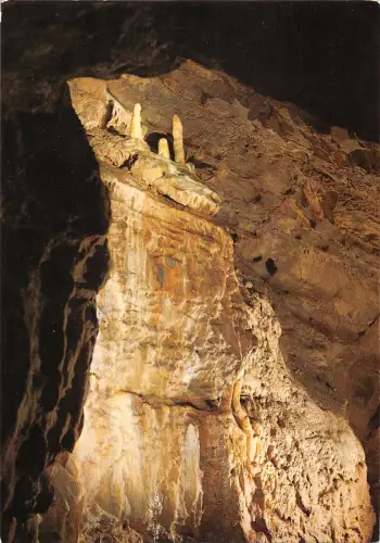 B108972 Belgien Couvin Grottes de Neptune Cascade Fossile