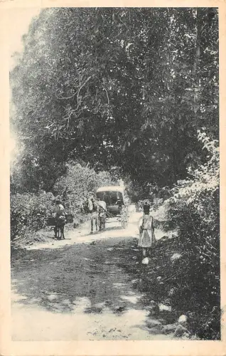 BR46352 Chemin conduisant aux sources du mechtras Kabylie Algeria