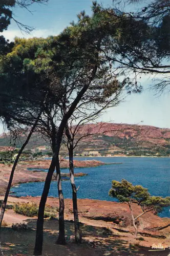 BF21715 agay var echappee entre les pinsdepuis le sonti france front/back image