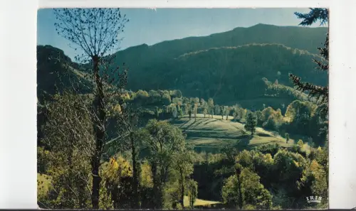 BF31321 en auvergne le cirque de mandailles france front/back image