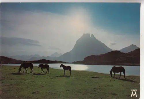 BF28533 les pyrenees chevaux en montagne france front/back image