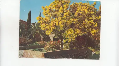 BF21630 saint tropez la cote d azur france front/back image