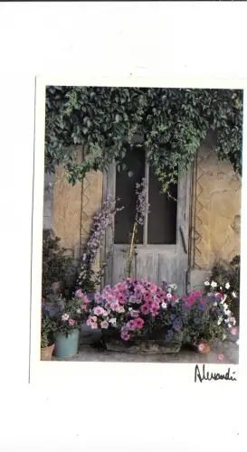 BF12553 Porte Fleurie France Typen Vorder-/Rückbild