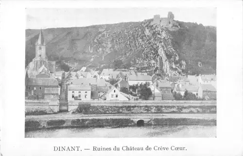 B105625 Belgien Dinant Ruines du Chateau de Creve Coeur