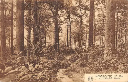 BR55721 Mont de L Enclus Bois Kluiberg bosch belgien