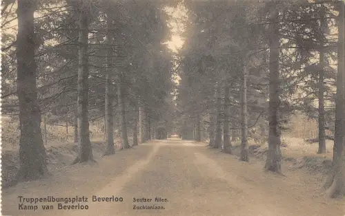 B105139 Belgien Truppenubungsplatz Beverloo Seufzer Allee