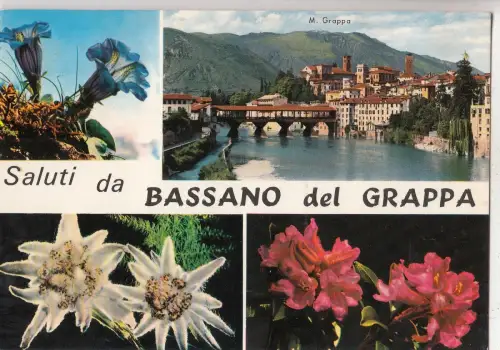 BF23530 ponte deglis alpini italy front/back image