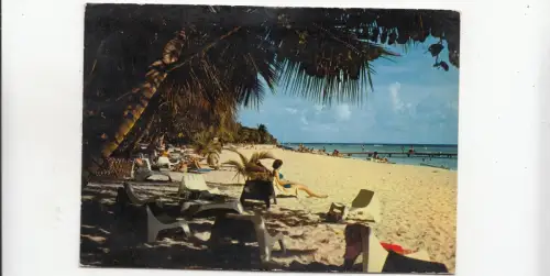 BF28277 guadeloupe plage de la caravelle caribbean islands front/back image