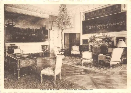BR19217 Le Salon des Ambassadeurs Chateau de Boloeil belgien