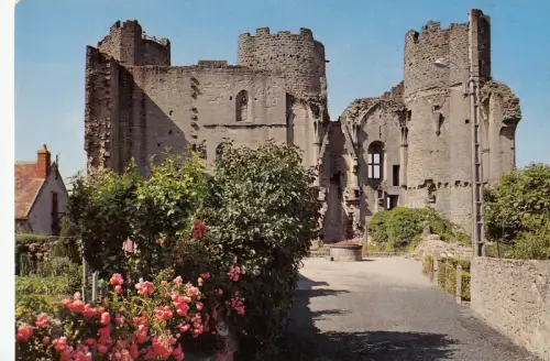 BF14193 le bourbonnais ruines du chateau france front/back image