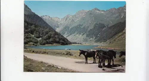 BF30938 h p le lac d estaing types donkey france front/back image