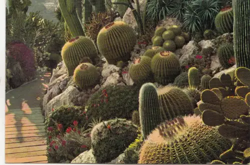 BF21744 monaco monte carlo jardin exotique france front/back image