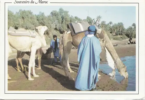 BF18656 marokko la koutoubia oasis region de zagora typen kamen vorder-/rückseitenbild