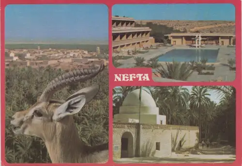 BF17873 nefta et le sahara palace tunisia front/back image