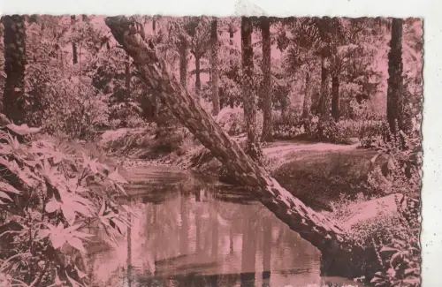 BF27014 paysage africain types front/back image