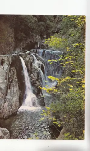 BF31820 amelie les bains 66 station thermale et climat france front/back image