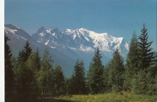 BF14769 aiguilles de chamonix et massif du mont blanc france front/back image