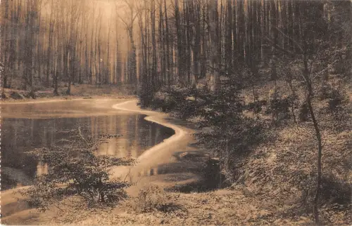 BR55599 Ligue des amis de la foret de Soignes belgium