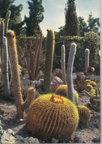 BF21497 eze village jardin exotique france front/back image