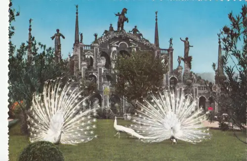 BF23253 lago maggiore isola bella giardino con pavoni italy front/back image