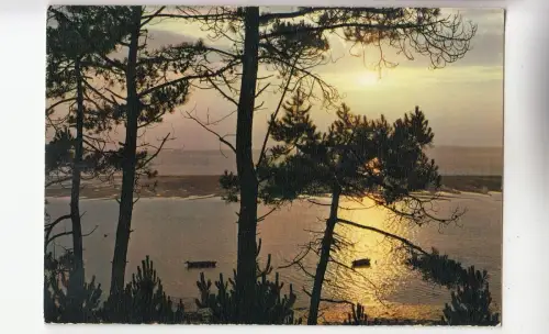 BF31245 bassin d arcachon le soleil d ou pendaient france front/back image