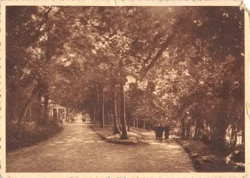 BR45911 virelles lac de virelles sous bois pabillon tallien belgien