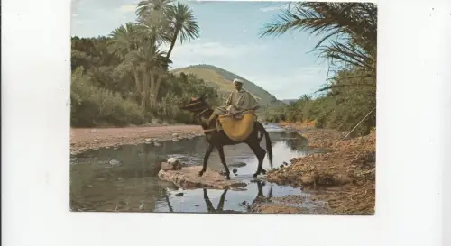 BF27047 marocco vallee du dra types front/back image