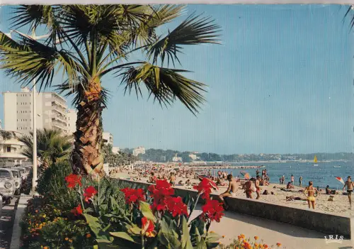 BF21228 juan les pins a m promenade du soleil france front/back image