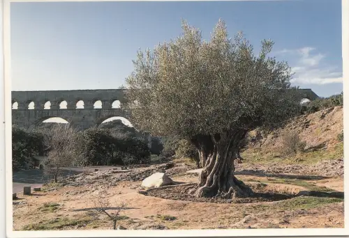 BF20350 les meridionales landscape france front/back image