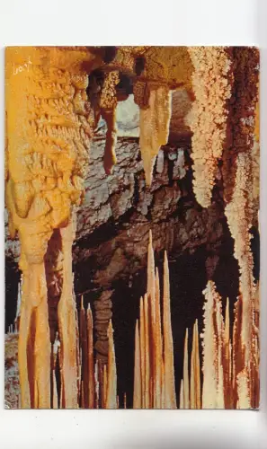 BF31364 Muschelgrotte Prestigieuse Frankreich Vorder-/Rückbild