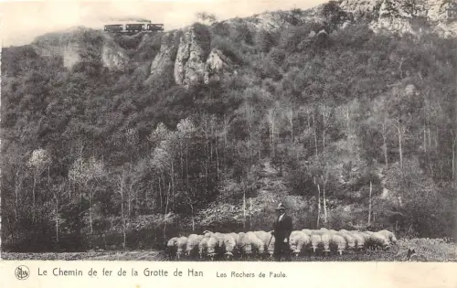 BG25561 le chemin de fer de la grotte de han sheep mouton belgien