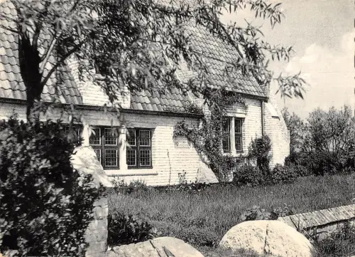 BT3782 Polderoord speelsch in de zon Belgium