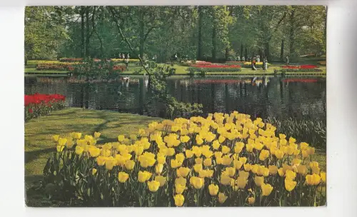 BF30847 keukenhof lisse holland netherland front/back image