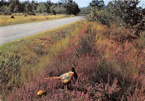 BF22111 Frankreich Vorder-/Rückbild