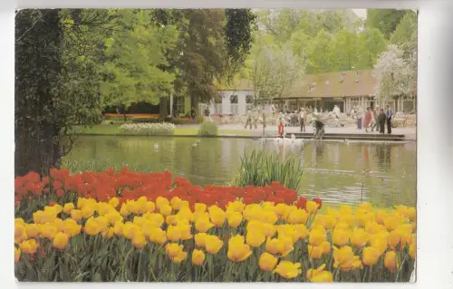 BF29881 keukenhof lisse holland netherland front/back image