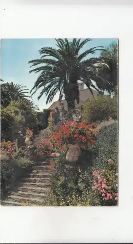 BF24302 la cote d azur escalier fleuri france front/back image