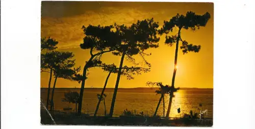 BF15723 coucher de soleil landscape france front/back image