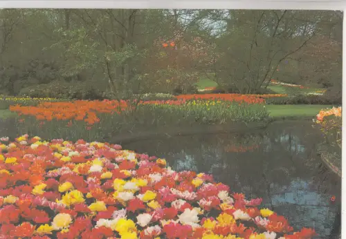 BF30431 keukenhof lisse holland netherland front/back image