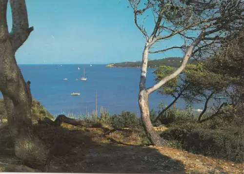 BF22347 hyeres les palmiers rivage ombrages france front/back image